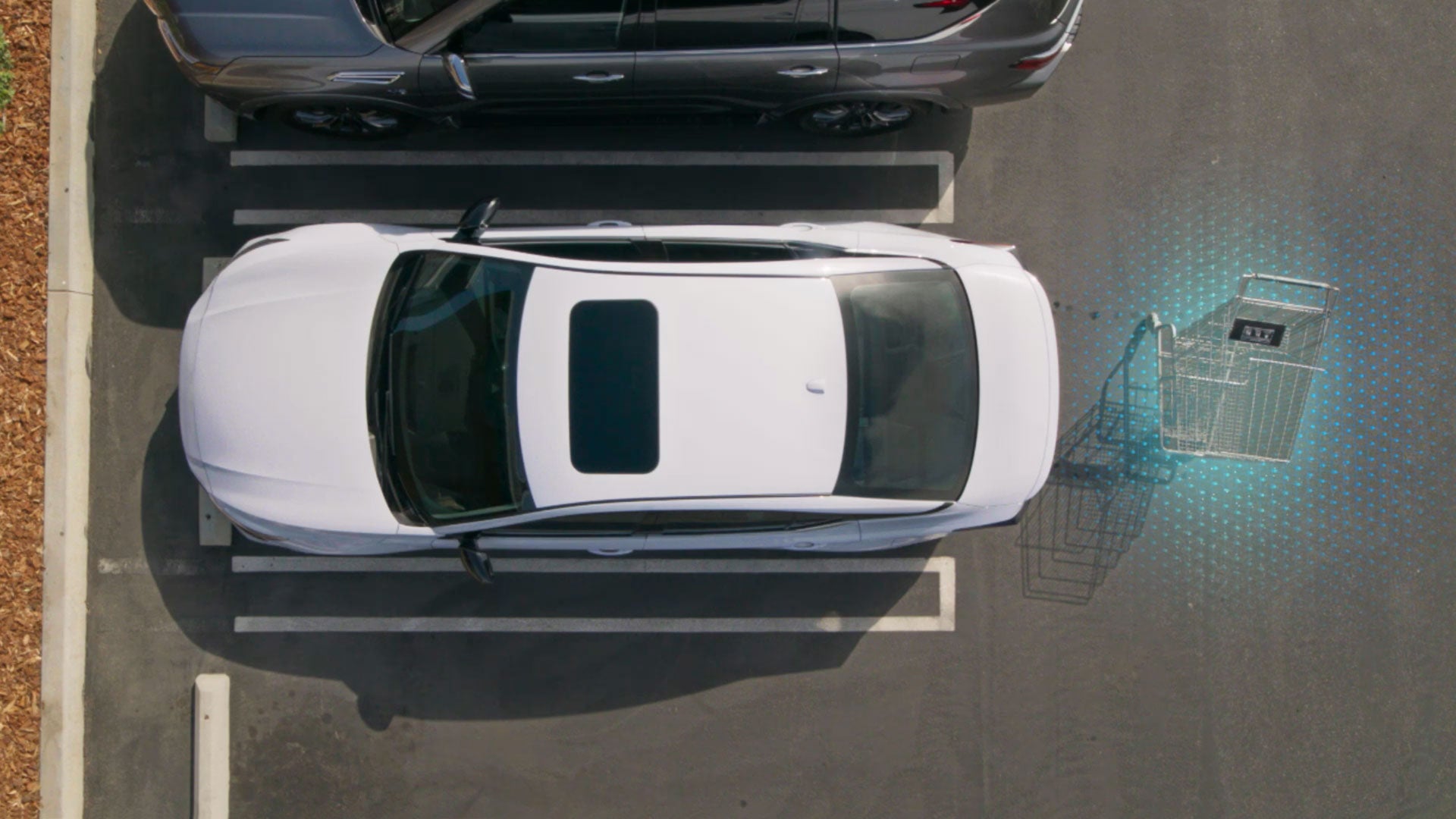 2026 Nissan Altima | Ed Morse Nissan Sierra Vista AZ in Sierra Vista, AZ